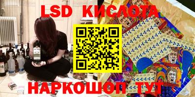 шишки Брянск