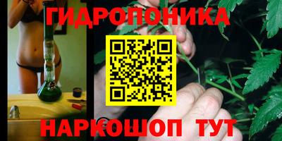 шишки Брянск