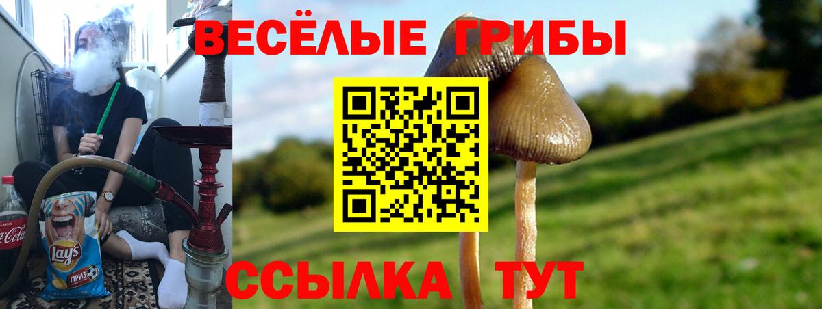 Псилоцибиновые грибы Psilocybine cubensis Белебей